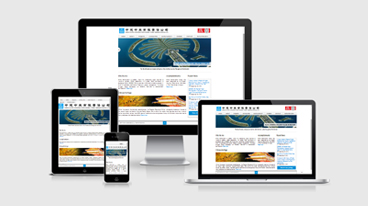 ReyamiSocial Web Design Portfolio